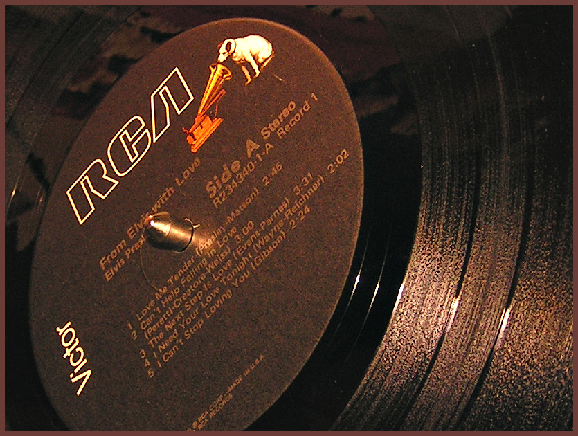 Photography by lumoto for DesignCrowd (Community Contests) | Design #9101064