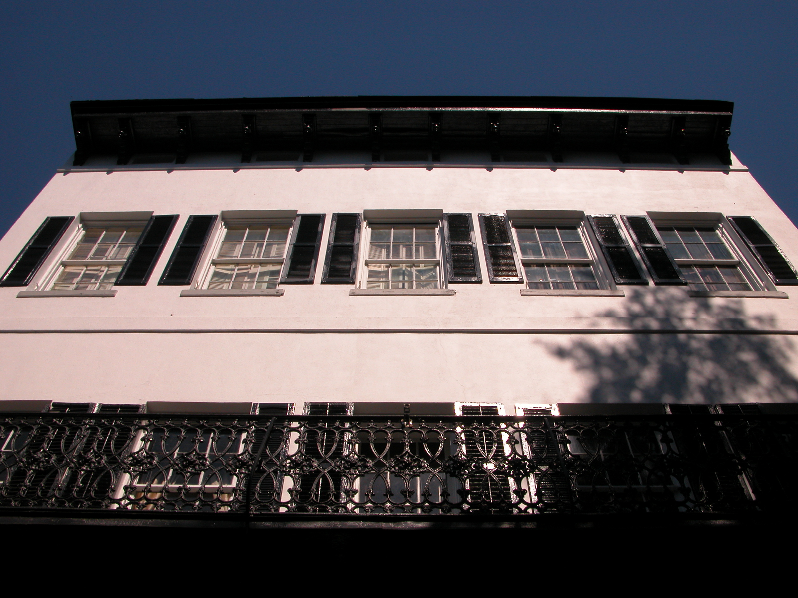 Photographie par moxieshark pour DesignCrowd (Community Contests) | Design #9074025