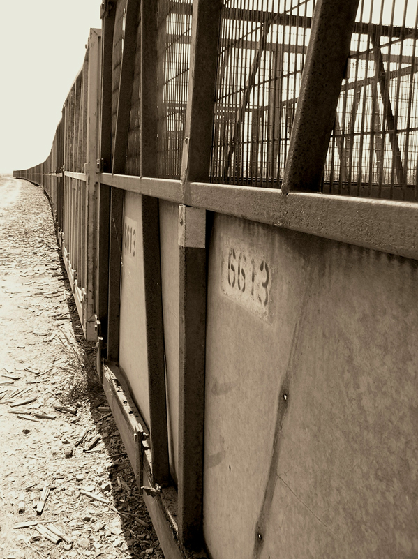 Fotografía por Vinnied para DesignCrowd (Community Contests) | Diseño #9099904