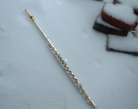 Fotografía por Flutterby para DesignCrowd (Community Contests) | Diseño #9101058