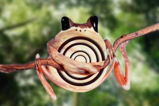 Diseño de Photoshop por rayavarapuadi para DesignCrowd (Community Contests) | Diseño #9093778