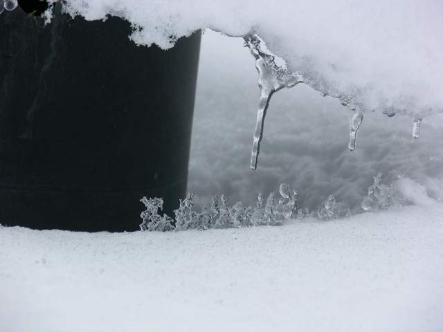 Fotografía por PINKPEPPER para DesignCrowd (Community Contests) | Diseño #9074069