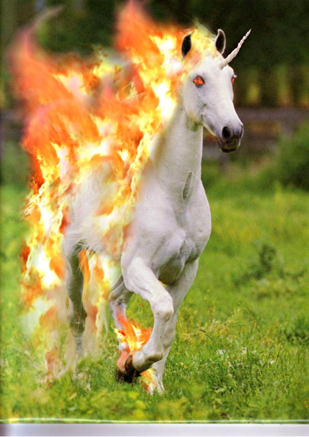 Diseño de Photoshop por Malicai para DesignCrowd (Community Contests) | Diseño #9093781