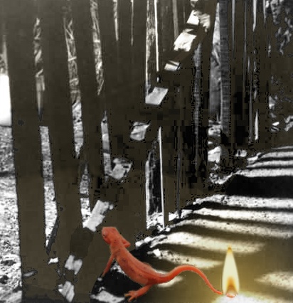 Photoshop Design by Koboldskind for DesignCrowd (Community Contests) | Design #9093766