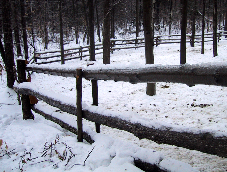 Fotografía por brunewz para DesignCrowd (Community Contests) | Diseño #9074115