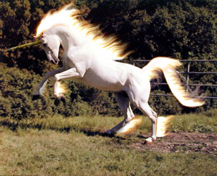 Photoshop-Design von NiceToqueEh für DesignCrowd (Community Contests) | Design #9093967