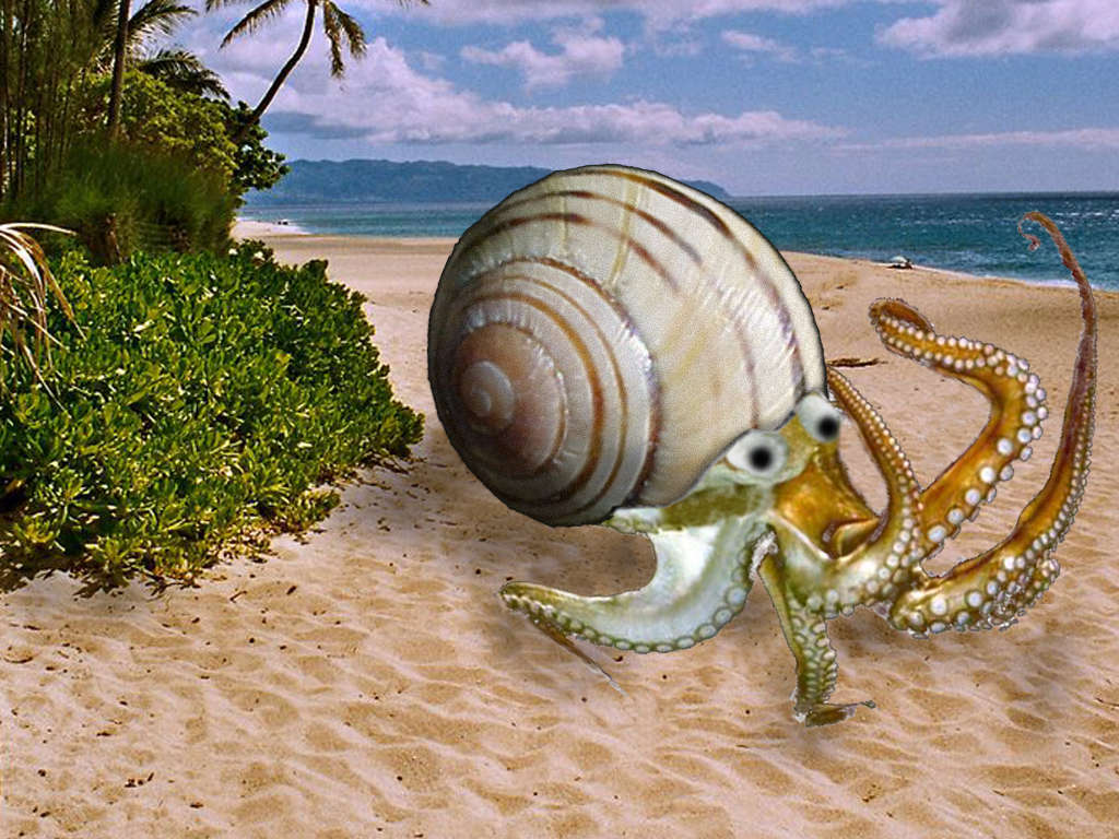 Photoshop Design by nageshmv for DesignCrowd (Community Contests) | Design #9094032