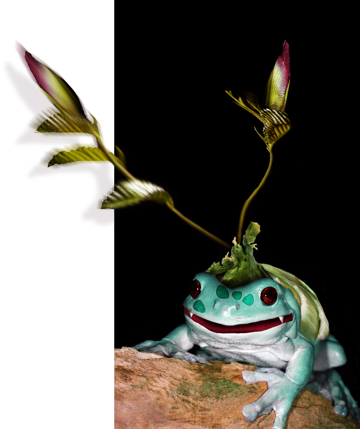 Diseño de Photoshop por chris_ para DesignCrowd (Community Contests) | Diseño #9093898