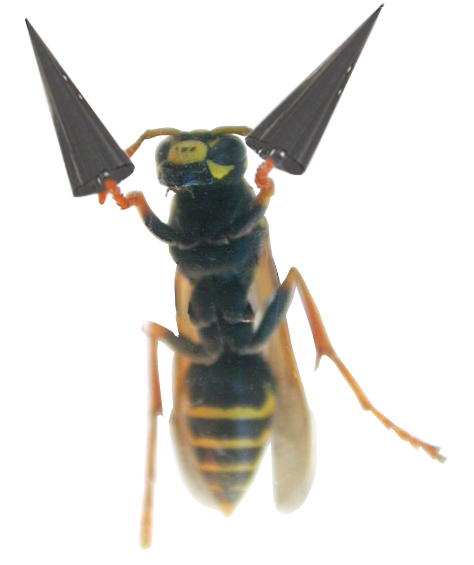 Photoshop Design by Nitehawk for DesignCrowd (Community Contests) | Design #9093934