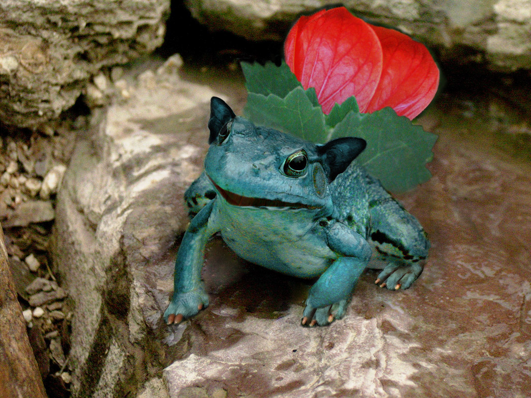 Photoshop Design by mayfae for DesignCrowd (Community Contests) | Design #9093949