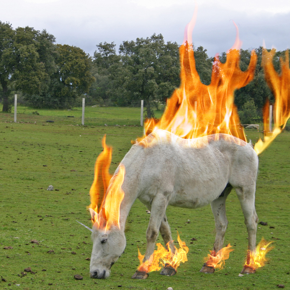 Photoshop Design by deadlungs for DesignCrowd (Community Contests) | Design #9093972