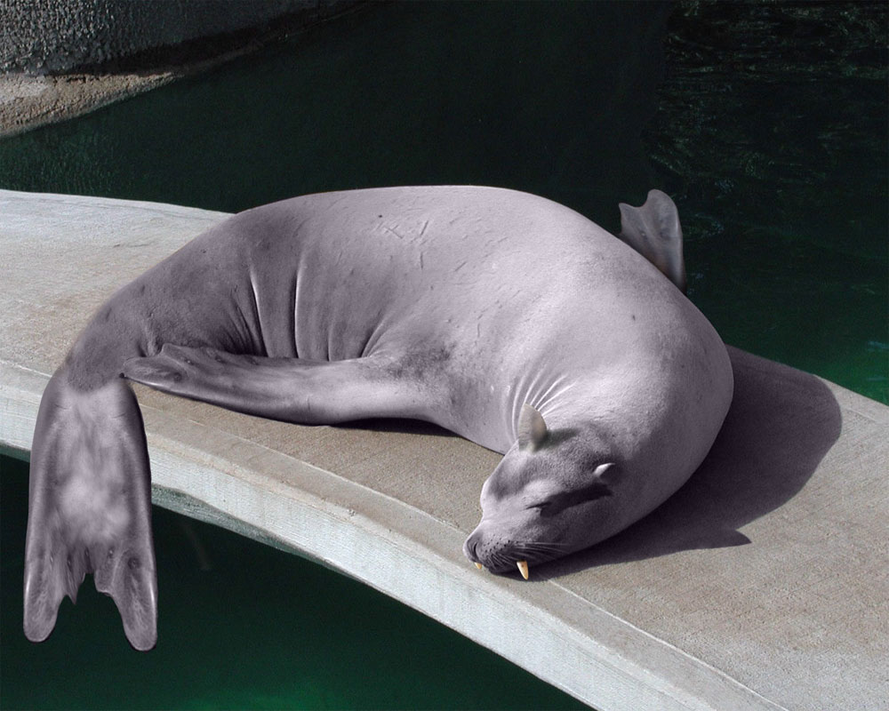 Diseño de Photoshop por dcloud para DesignCrowd (Community Contests) | Diseño #9093937