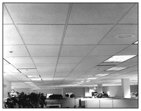 Photography by dylder for DesignCrowd (Community Contests) | Design #9100029