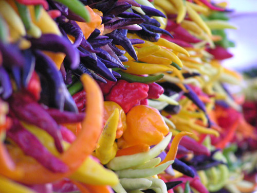 Photography by klxner for DesignCrowd (Community Contests) | Design #9100734