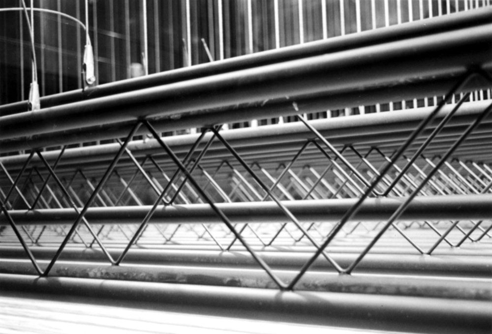 Fotografía por Edwardxl para DesignCrowd (Community Contests) | Diseño #9086481
