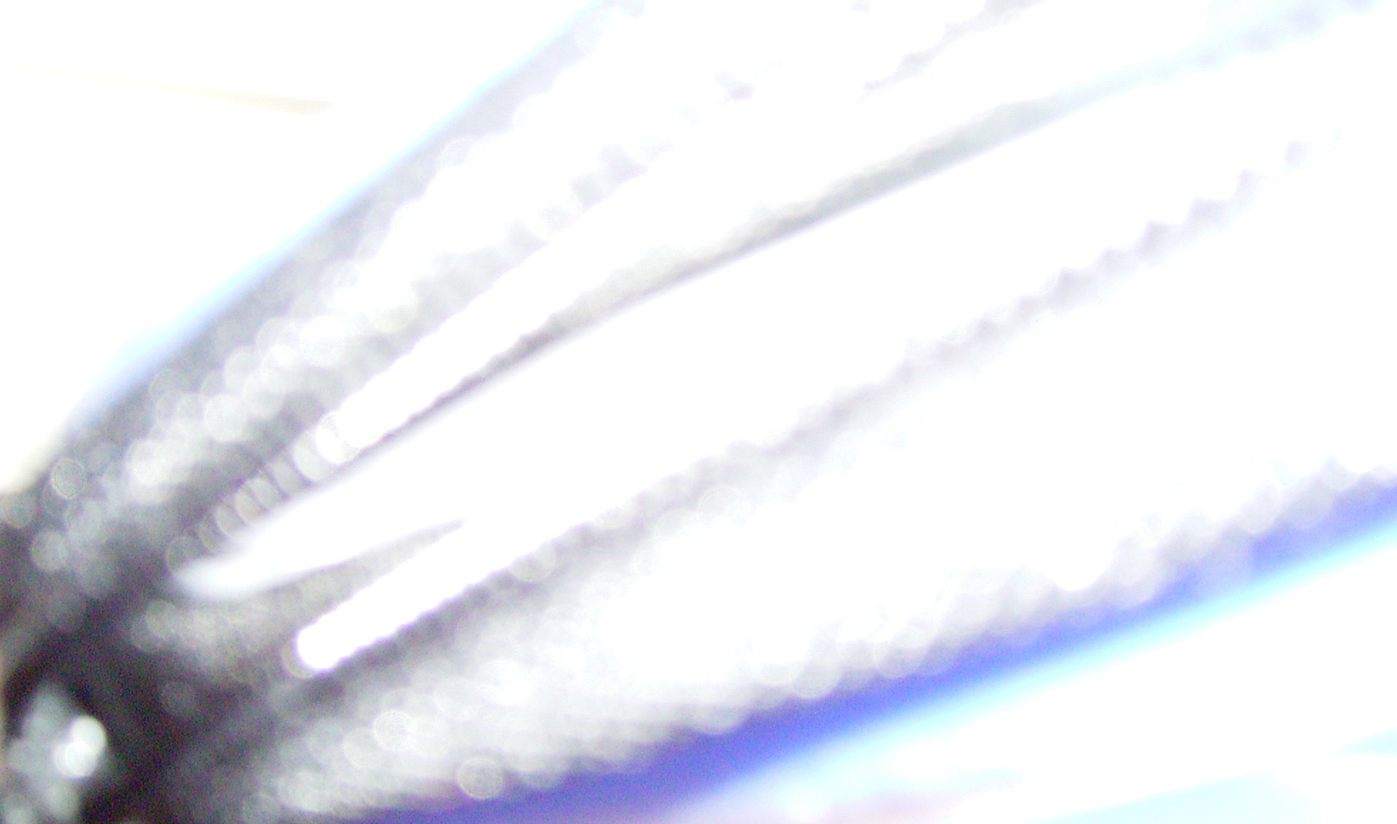 Photography by meldra for DesignCrowd (Community Contests) | Design #9086491