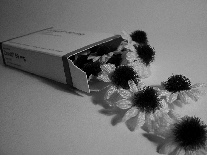 Photography by zensoul for DesignCrowd (Community Contests) | Design #9098934