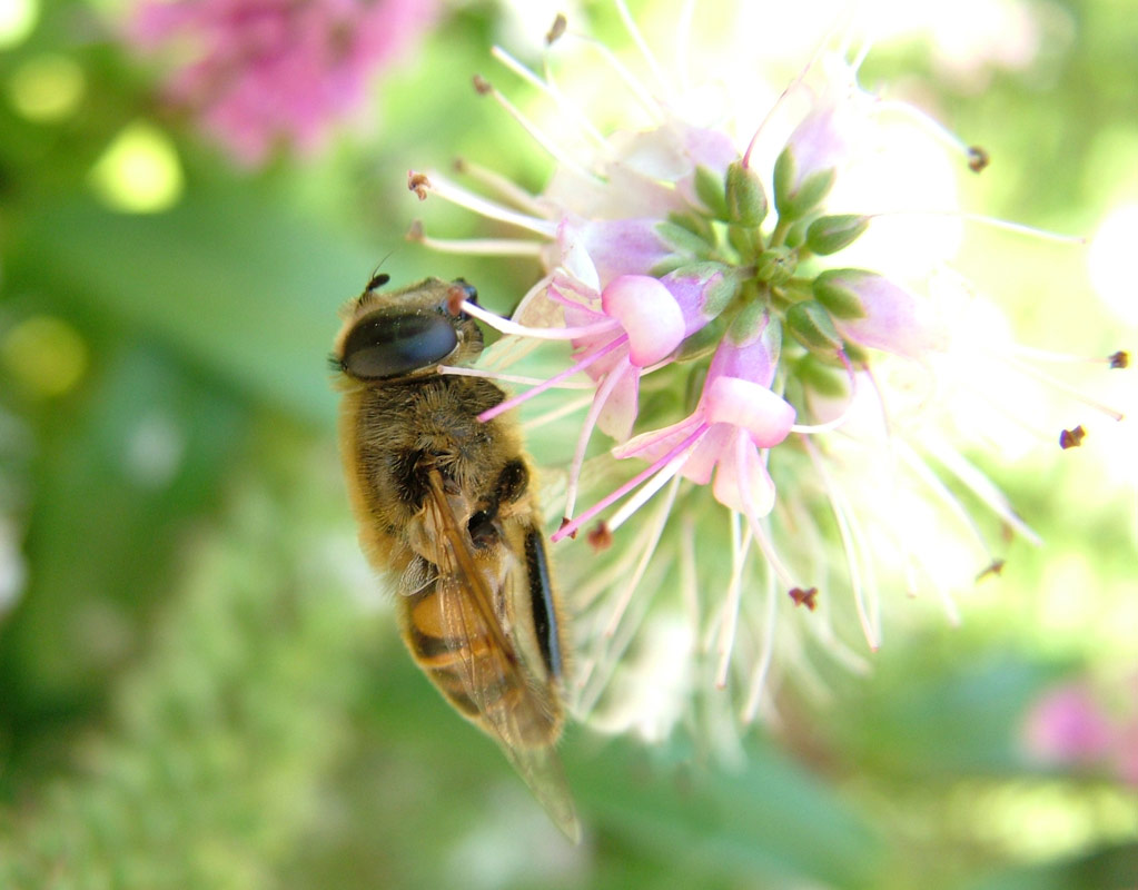 Photoshop Design by tincanblower for DesignCrowd (Community Contests) | Design #9098784