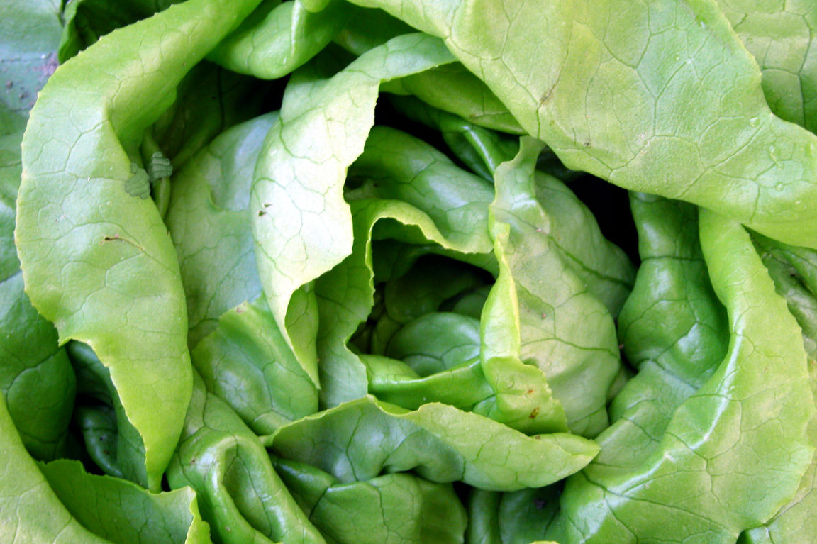 Photoshop Design by monkeywithnobrain for DesignCrowd (Community Contests) | Design #9098859