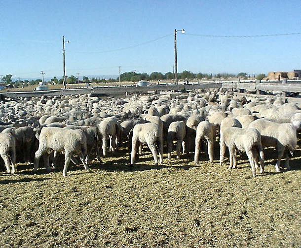 Design Photoshop par DestinationCreation pour DesignCrowd (Community Contests) | Design #9098823