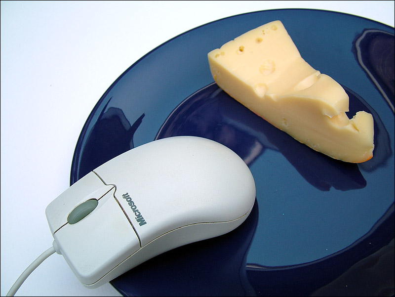 Fotografie von FastLane für DesignCrowd (Community Contests) | Design #9098910