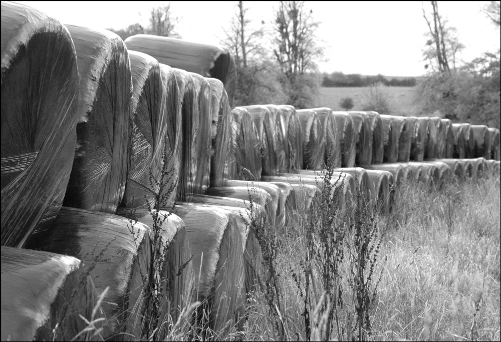 Photography by Redbull_UK for DesignCrowd (Community Contests) | Design #9086492