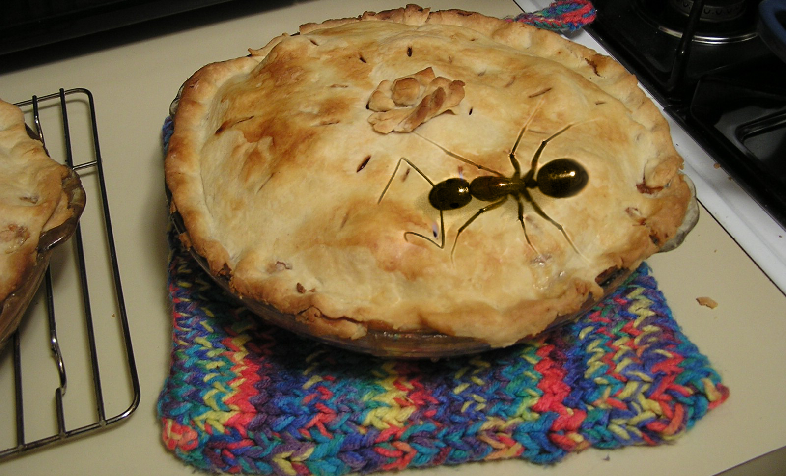 Photoshop Design by freakygenie for DesignCrowd (Community Contests) | Design #9096998