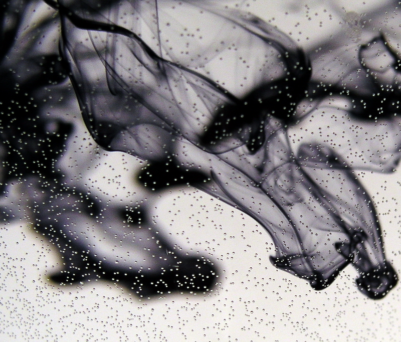 Photography by mzmzmzmz for DesignCrowd (Community Contests) | Design #9086537