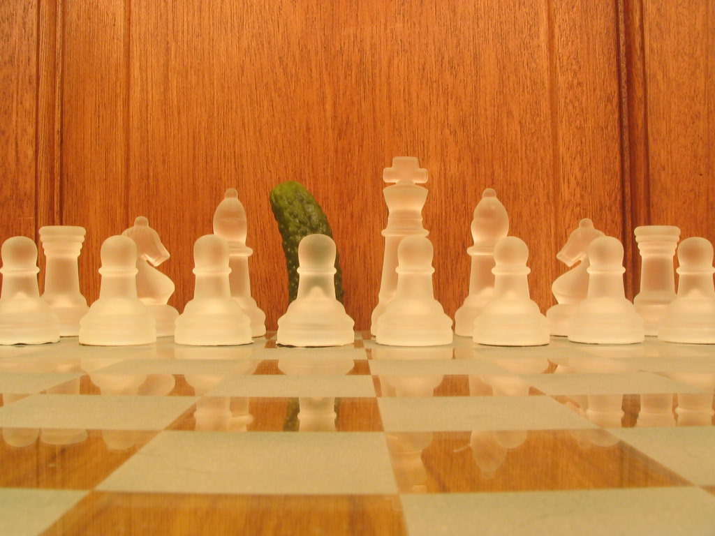 Photography by SirLegend for DesignCrowd (Community Contests) | Design #9099017