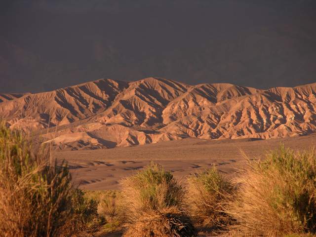 Fotografía por PINKPEPPER para DesignCrowd (Community Contests) | Diseño #9085425