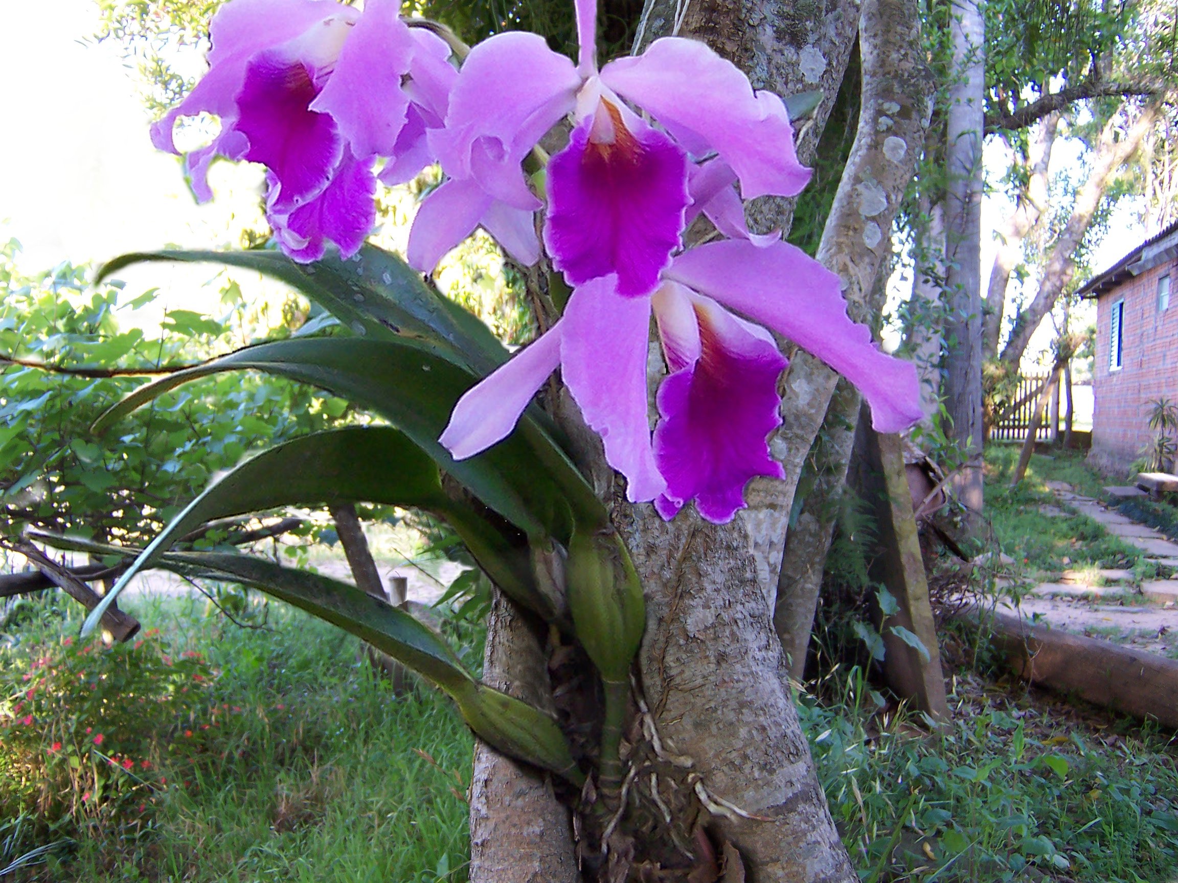 Photoshop-Design von yavannilde für DesignCrowd (Community Contests) | Design #9097062