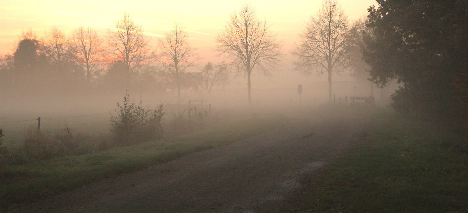 Photography by Marian for DesignCrowd (Community Contests) | Design #9085477