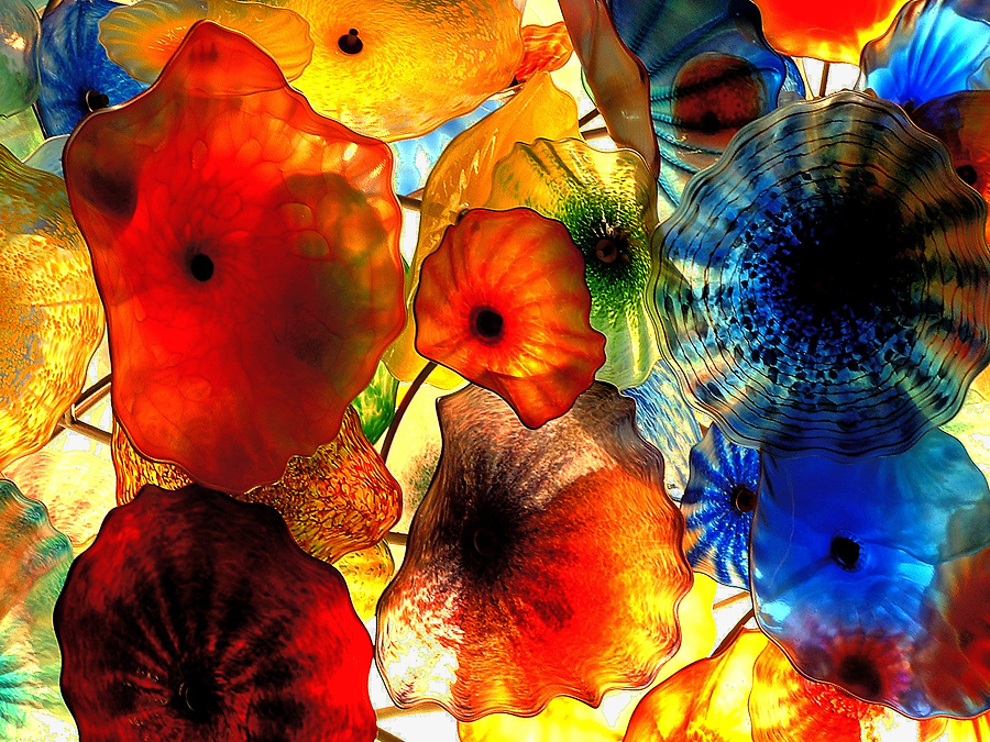 Fotografie von TampaDroid für DesignCrowd (Community Contests) | Design #9100814