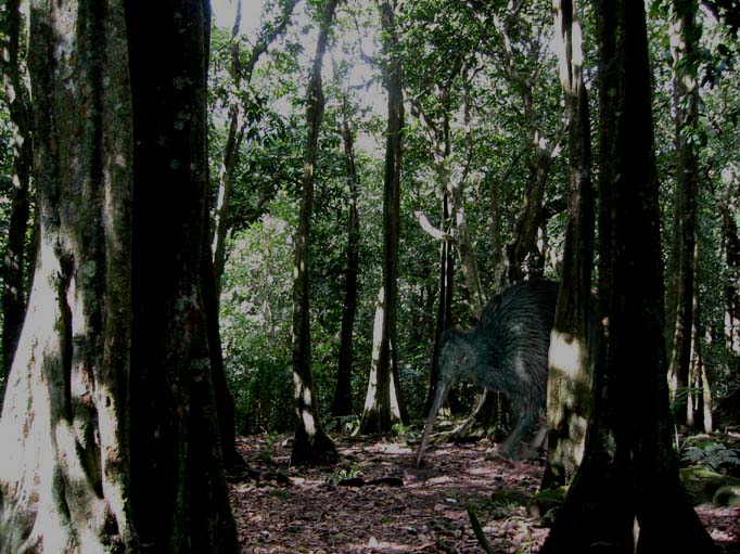 Diseño de Photoshop por yortjoe para DesignCrowd (Community Contests) | Diseño #9097082