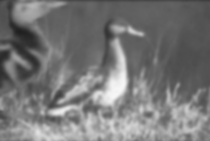 Photoshop Design by SaladGrease for DesignCrowd (Community Contests) | Design #9097226