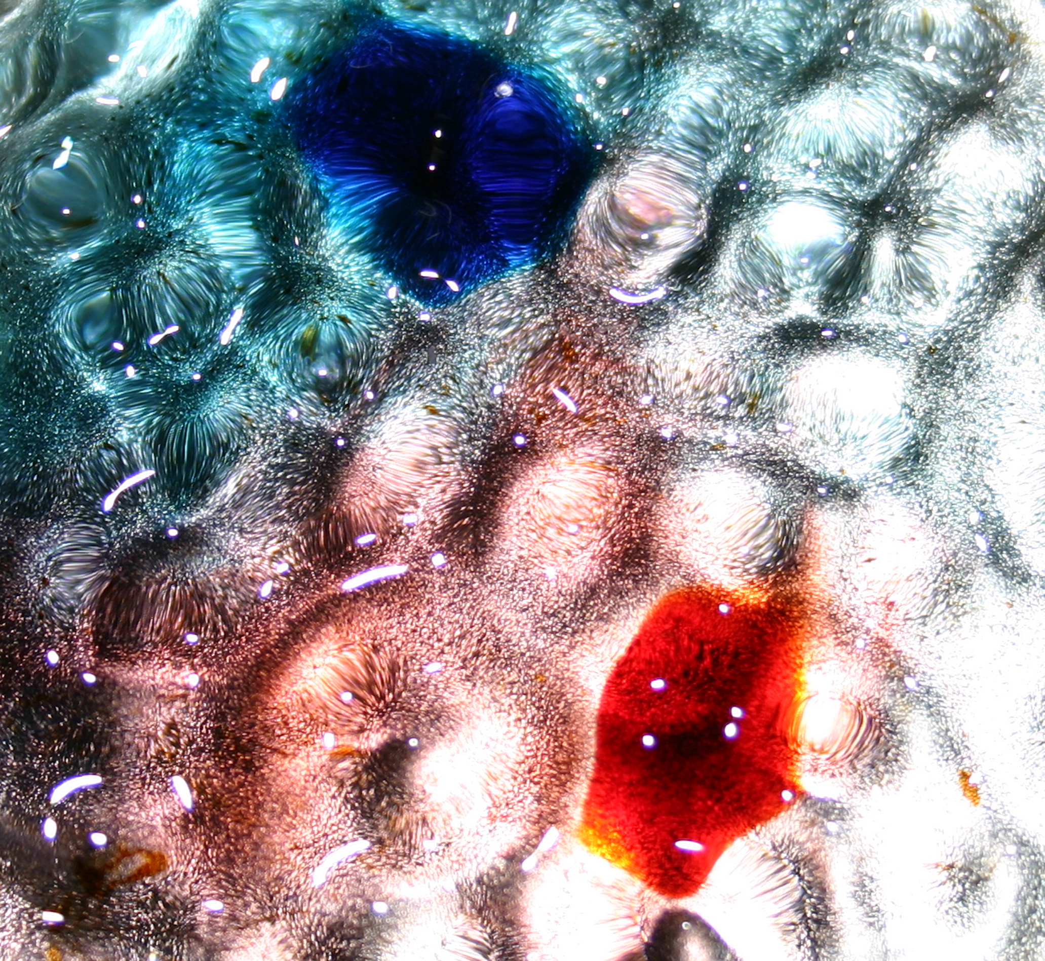 Photography by tomgirl80 for DesignCrowd (Community Contests) | Design #9086522