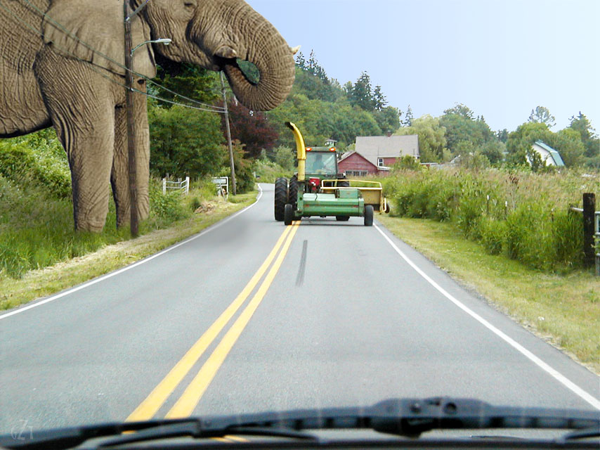 Design Photoshop par godzillatemple pour DesignCrowd (Community Contests) | Design #9097127