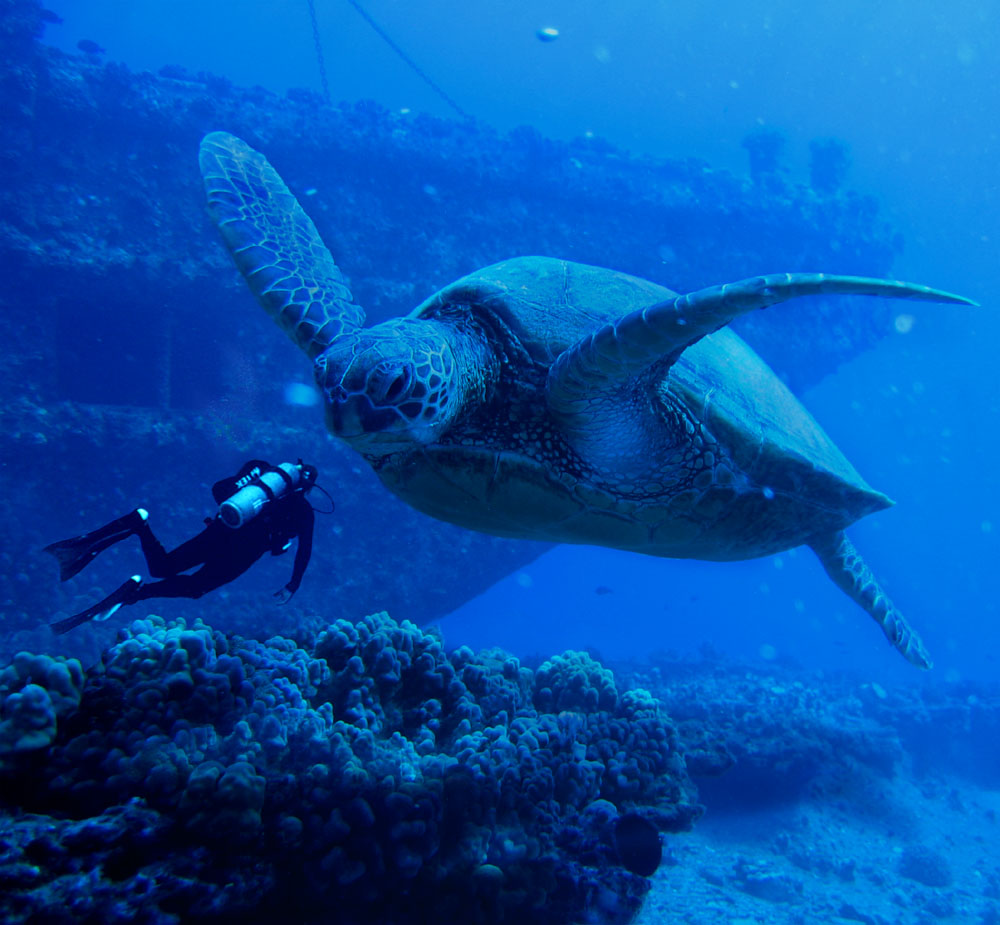 Photoshop Design by Norrit for DesignCrowd (Community Contests) | Design #9097109