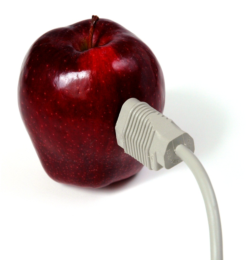 Photography by koalachimbo for DesignCrowd (Community Contests) | Design #9098968