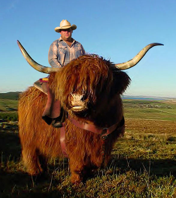 Photoshop Design by TerryLea for DesignCrowd (Community Contests) | Design #9097373