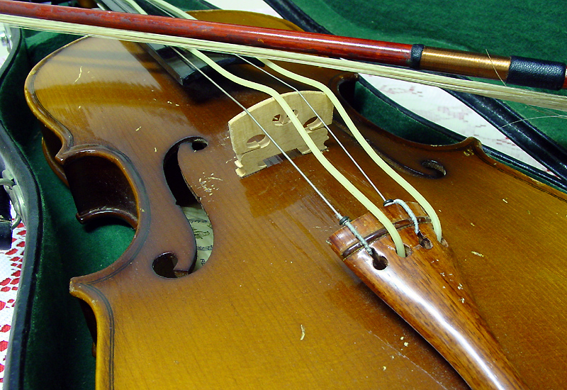 Photography by AussieBluey for DesignCrowd (Community Contests) | Design #9099040