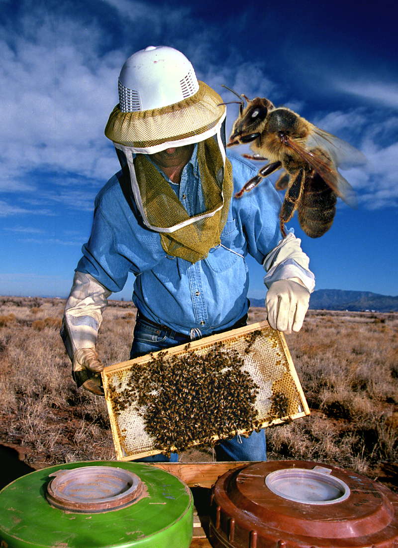 Photoshop Design by chris_ for DesignCrowd (Community Contests) | Design #9097234