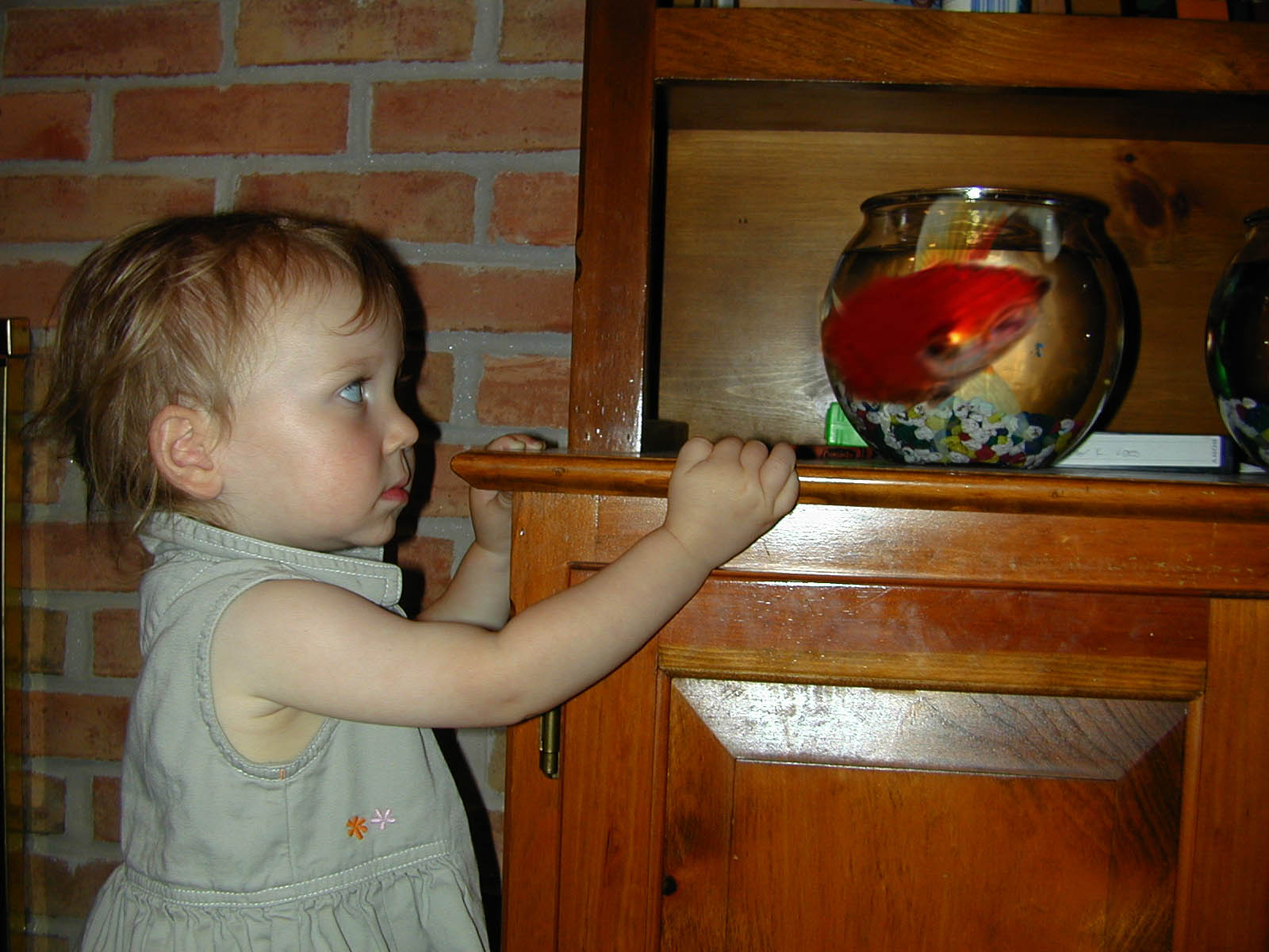 Photoshop Design by bingobaby for DesignCrowd (Community Contests) | Design #9097387