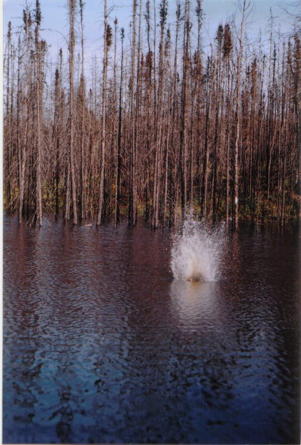 Fotografía por Thetick3 para DesignCrowd (Community Contests) | Diseño #9085472