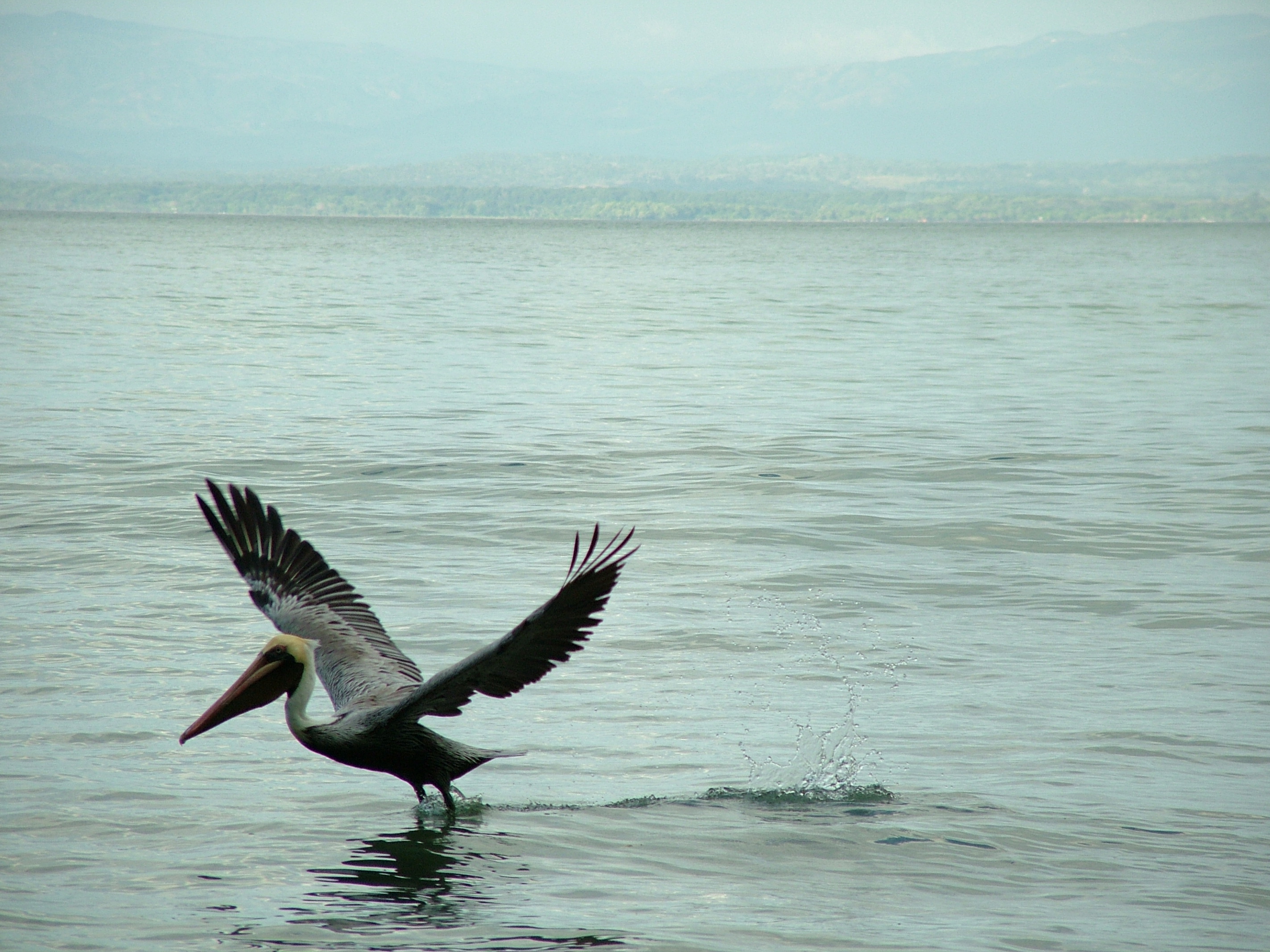Photography by jeff99 for DesignCrowd (Community Contests) | Design #9085516