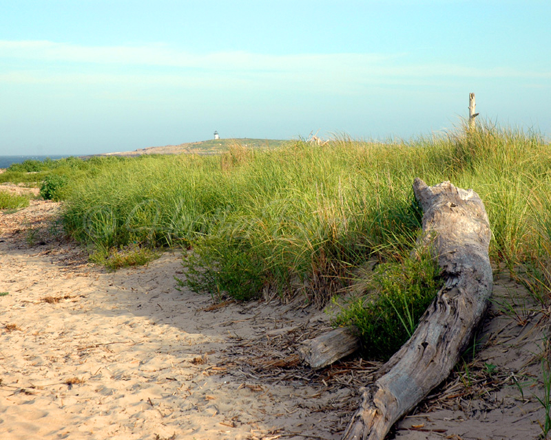 Fotografie von squeakers für DesignCrowd (Community Contests) | Design #9085519