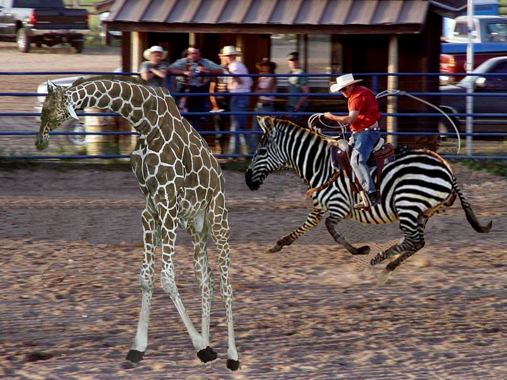 Diseño de Photoshop por msfrigyfrog para DesignCrowd (Community Contests) | Diseño #9099352