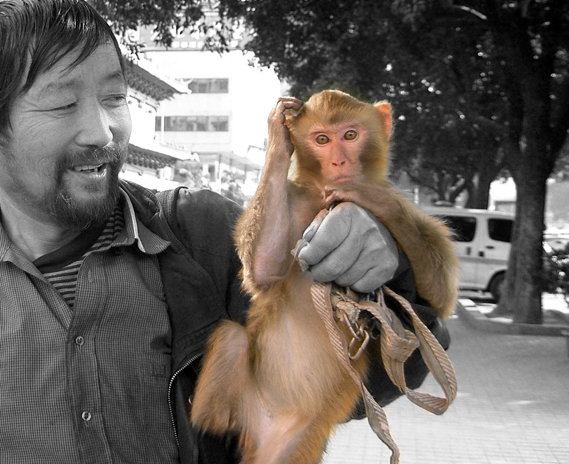 Fotografía por freakygenie para DesignCrowd (Community Contests) | Diseño #9099118