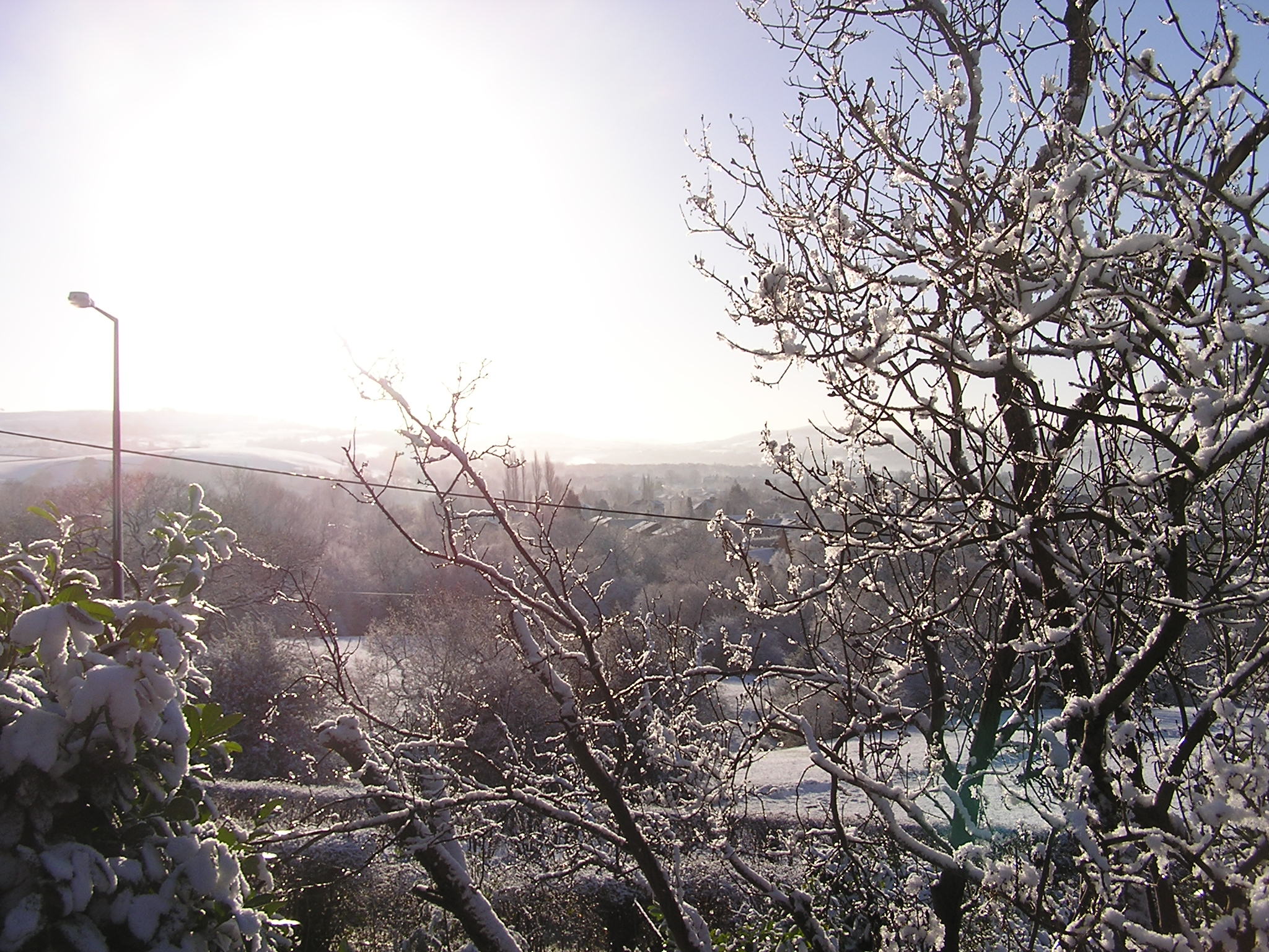 Fotografía por angellivia para DesignCrowd (Community Contests) | Diseño #9085513