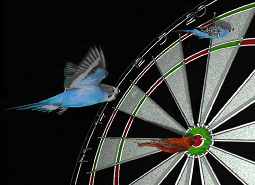 Photoshop Design by netsrik for DesignCrowd (Community Contests) | Design #9099514